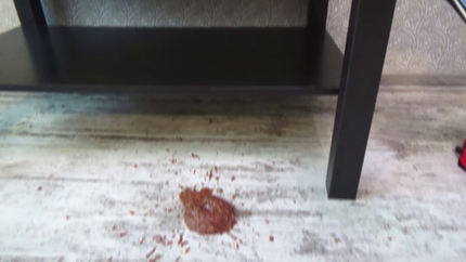 Diarrhea, Piss and Spit