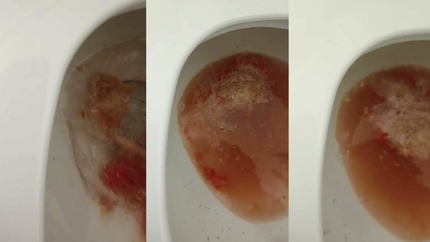 GIRL PUKING IN TOILET (GOOD SOUNDS)