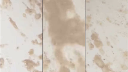 SICK GIRL PUKES IN TOILET