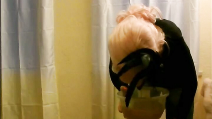 2 MINI PURGE SCENES.