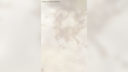 MORNING SICKNESS IN COLLAGE