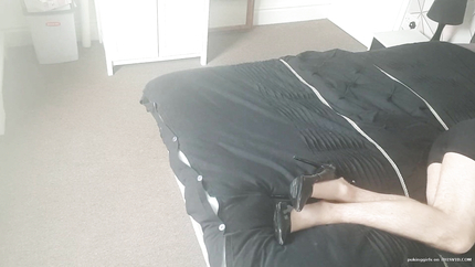 SQUEAKY SICKNESS BUG