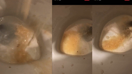 SICK GIRL VOMIT IN TOILET.