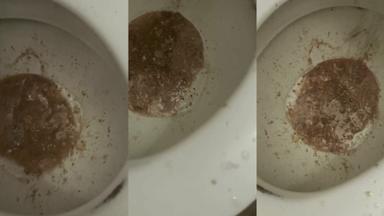 THREE PUKES