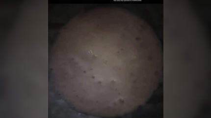 GIRLS SO SICK AND VOMITS AGAIN