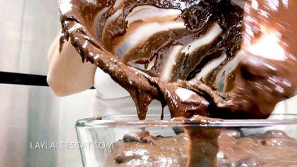 Layla Bakes Scat Brownies