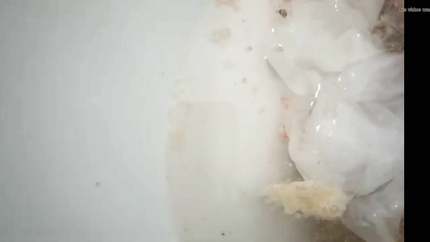 WOMAN PUKING HER DINNER INTO THE TOILET