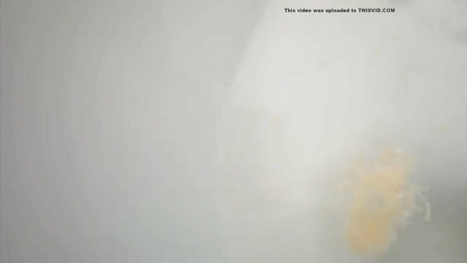 WOMAN PUKING HER DINNER INTO THE TOILET