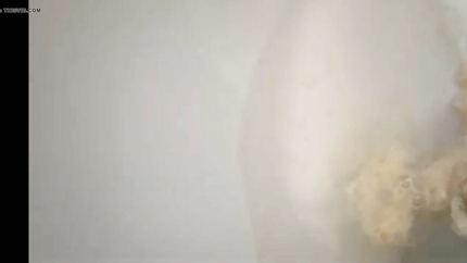 WOMAN PUKING HER DINNER INTO THE TOILET