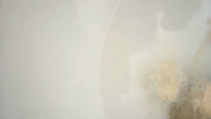 WOMAN PUKING HER DINNER INTO THE TOILET