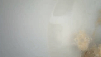 WOMAN PUKING HER DINNER INTO THE TOILET