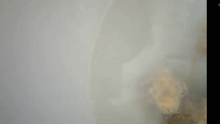 WOMAN PUKING HER DINNER INTO THE TOILET