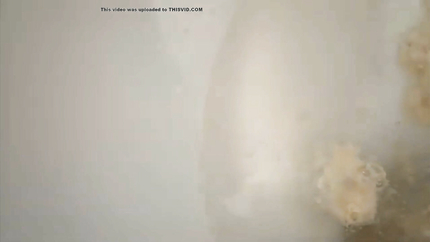 WOMAN PUKING HER DINNER INTO THE TOILET