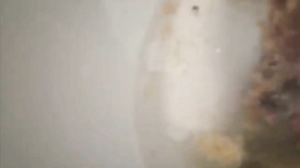 WOMAN PUKING HER DINNER INTO THE TOILET