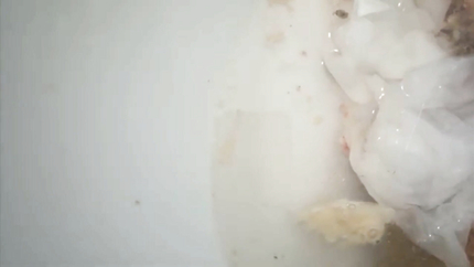 WOMAN PUKING HER DINNER INTO THE TOILET