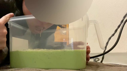 JAPANESE PUKE - VIDEO 7