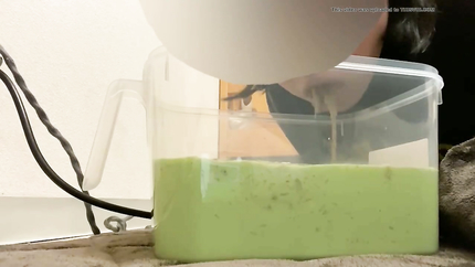 JAPANESE PUKE - VIDEO 7
