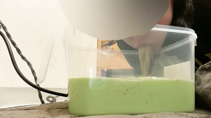 JAPANESE PUKE - VIDEO 7
