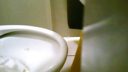 TOILET PUKE - VIDEO 4