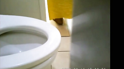 TOILET PUKE - VIDEO 4