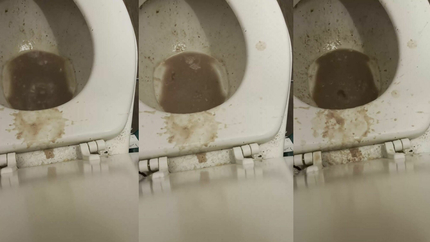 TOILET VOMIT - VIDEO 3