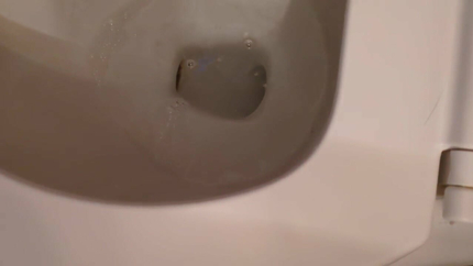 JUST NAUSEA, A LITTLE VOMITING ONLY TOWARDS THE END