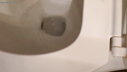 JUST NAUSEA, A LITTLE VOMITING ONLY TOWARDS THE END