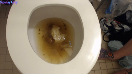 New Year New Poo