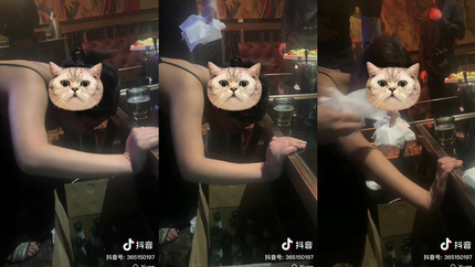 DRUNK GIRL VOMITING IN A BAR