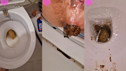 Four unflushable logs