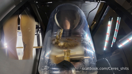 Coffin Training 5 – Water Pump Installed