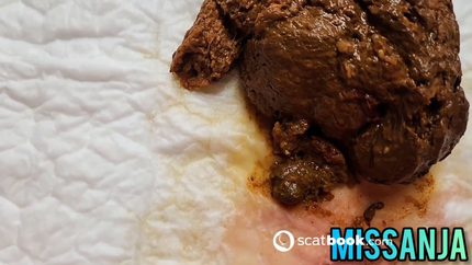 5 in 1 Stinky POOP LIFE Compilation Fart Anal Dildo Pissing