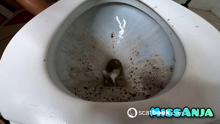 Voyeur Toilet POV Diarrhea Fountain 2025-02-01 07 40