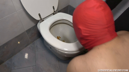 XTREME BATHROOM TOILET SLAVE » Mixfemdomcc - Latest Femdom Porn for Online Streaming