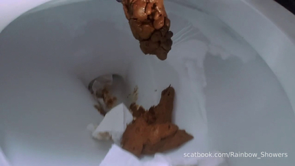 Rainbow Toilet Diving