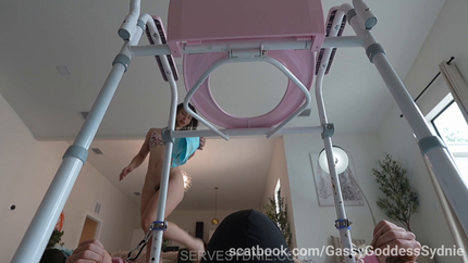 Goddess Sydnie, Goddess Si, Goddess Tiff, Princess Honey - Shitty Sleepover - Back View » Mixfemdomcc - Latest Femdom Porn for Online Streaming