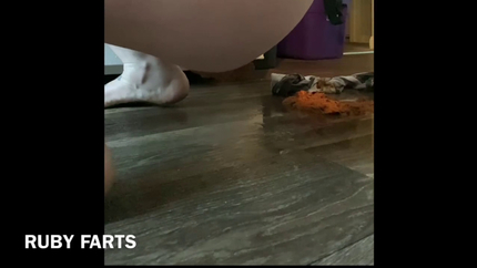 Zelda's Diarrhea Pileups!!