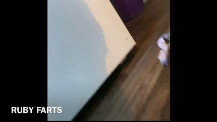 Zelda's Diarrhea Pileups!!