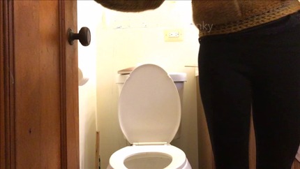Zelda's Diarrhea Pileups!!