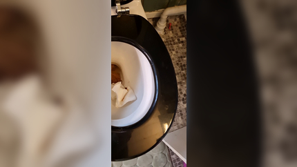 Milf Pooping POV P1