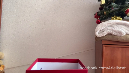 The Perfect Dirty Christmas Gift P1