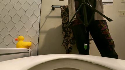 Treat Shipment plus 3 toilet vids