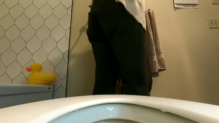 Treat Shipment plus 3 toilet vids