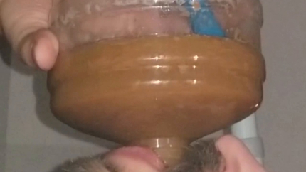 Chugging LITERS of my poop-flavored pee