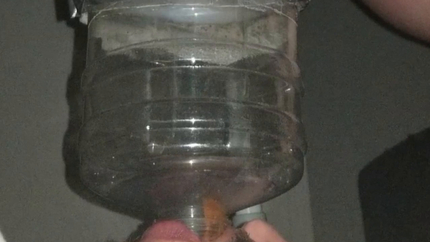 1 HOUR SHIT SWALLOW
