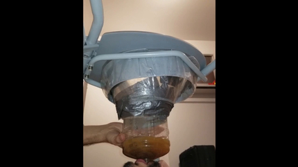 1 HOUR SHIT SWALLOW
