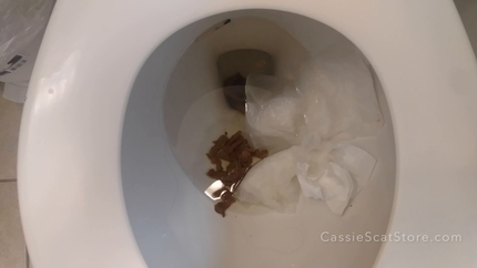I’ve got Flu and Diarrhea for Real Toilet P1
