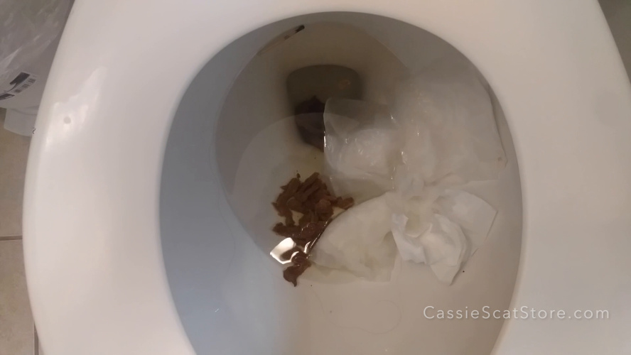 I’ve got Flu and Diarrhea for Real Toilet P1