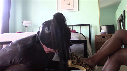 Lick The Shit off My Heels HD P1