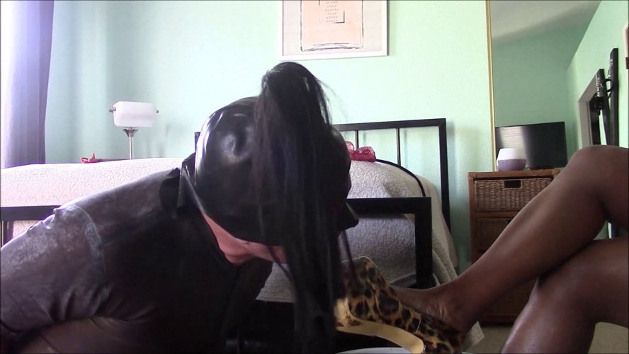 Lick The Shit off My Heels HD P1